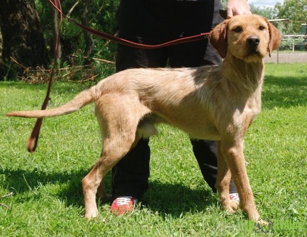 Charlie01