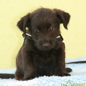 img_4737 img_4737